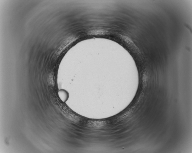 X0000102471209200809051325