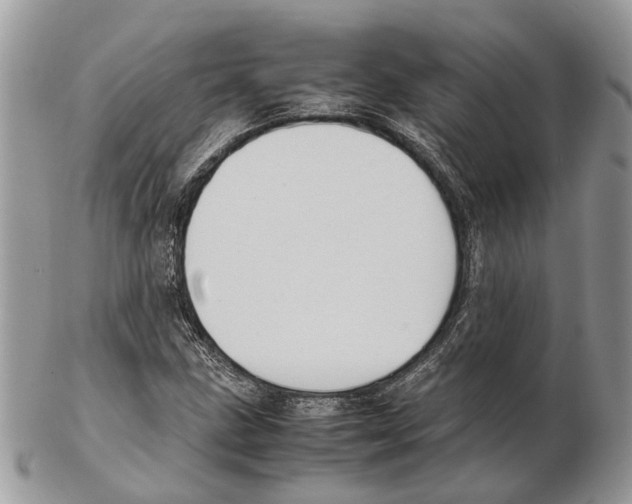 X0000102471211200809051325