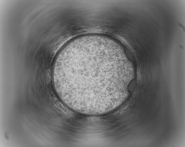 X0000102471212200809051325