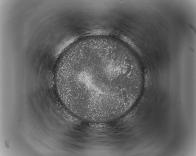 X0000102471213200809051325