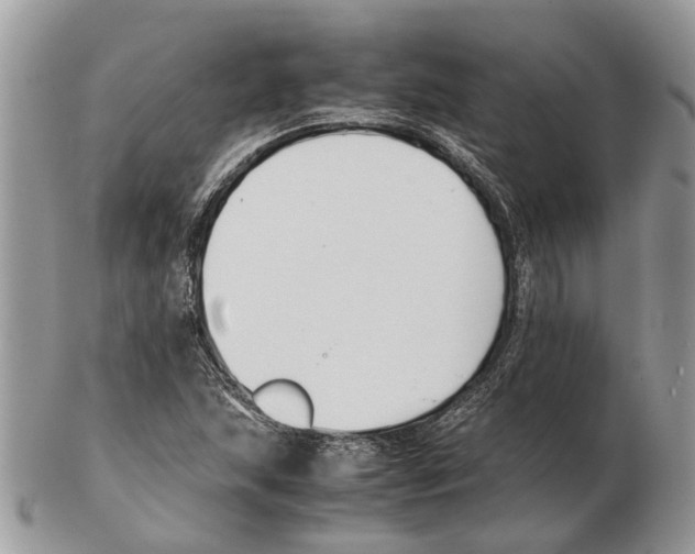 X0000102471215200809051325