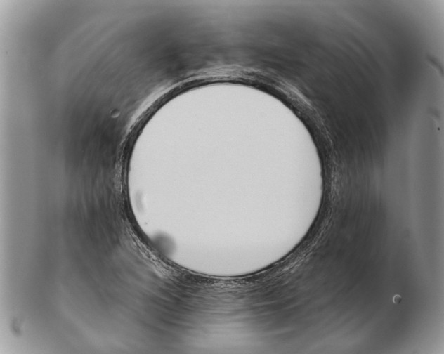 X0000102471216200809051325