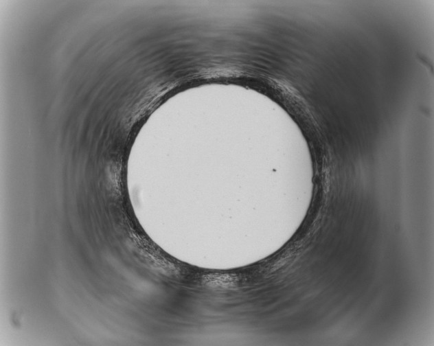 X0000102471217200809051325