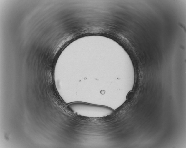 X0000102471218200809051325