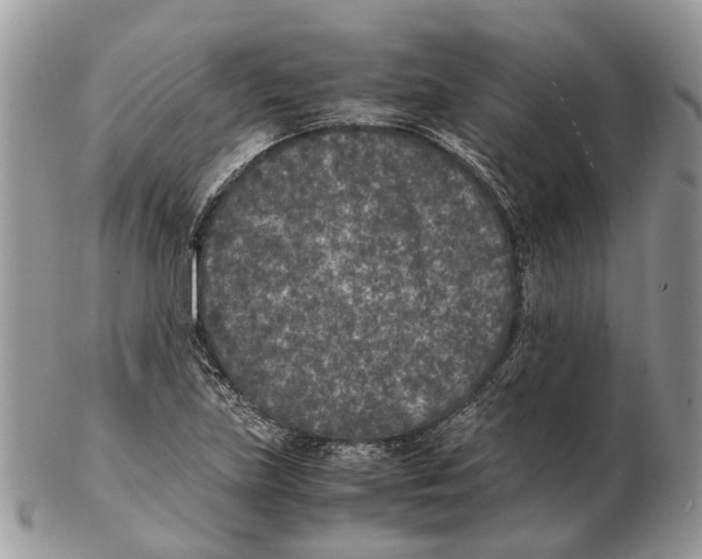 X0000102471219200809051325