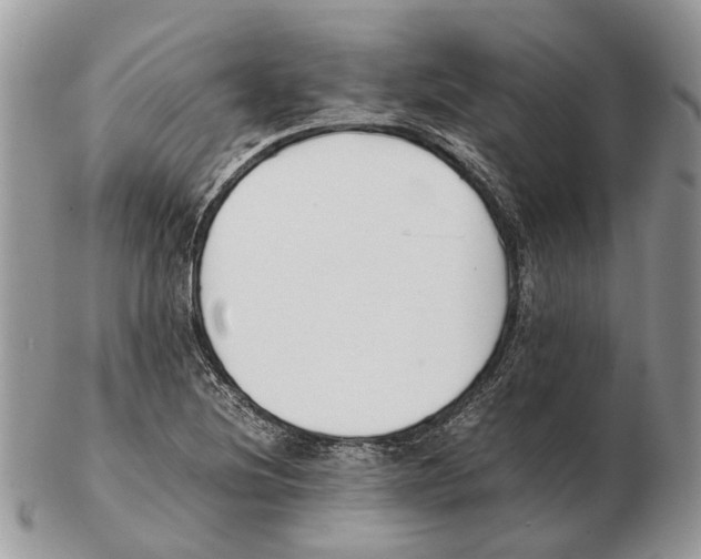 X0000102471220200809051325