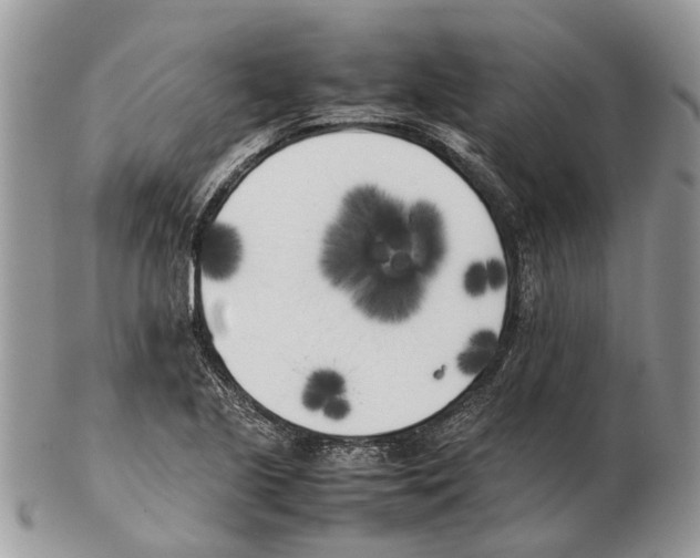 X0000102471221200809051325
