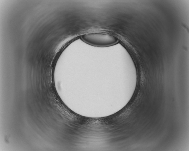 X0000102471222200809051325