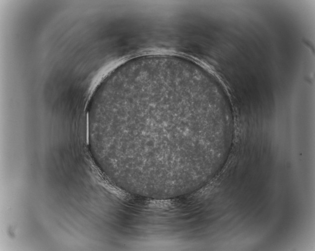 X0000102471223200809051325