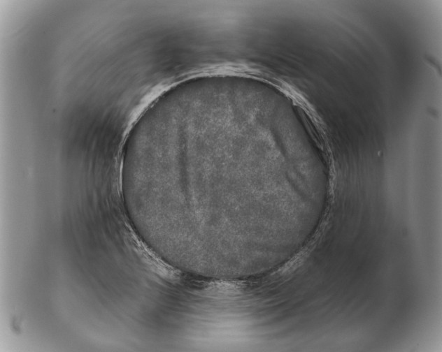 X0000102471224200809051325