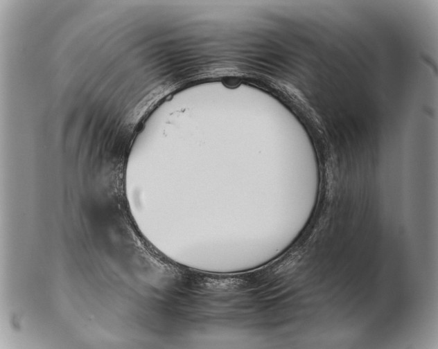 X0000102471225200809051325