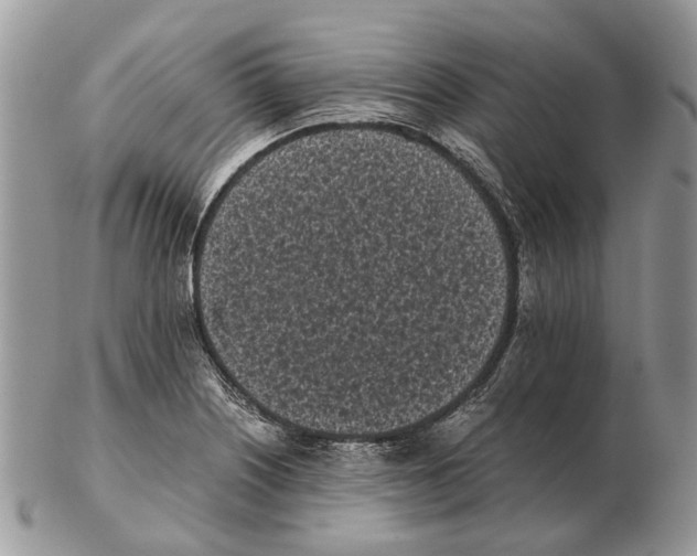 X0000102471226200809051325