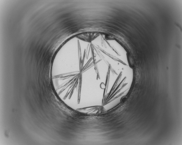 X0000102471228200809051325