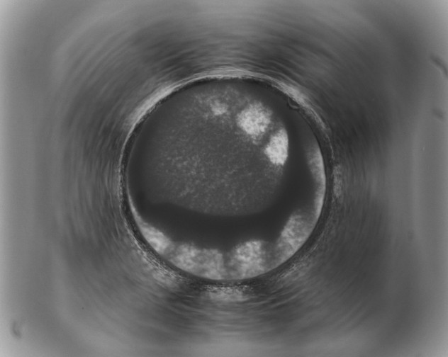 X0000102471229200809051325