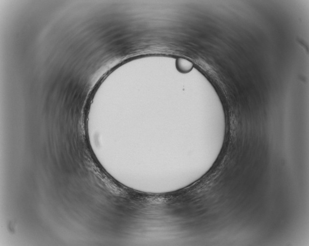 X0000102471230200809051325