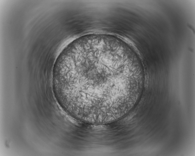 X0000102471231200809051325