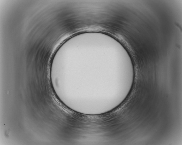 X0000102471232200809051325