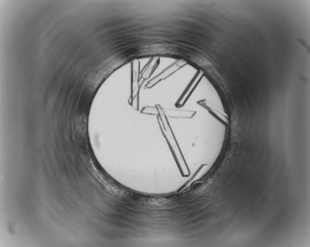 X0000102471233200809051325