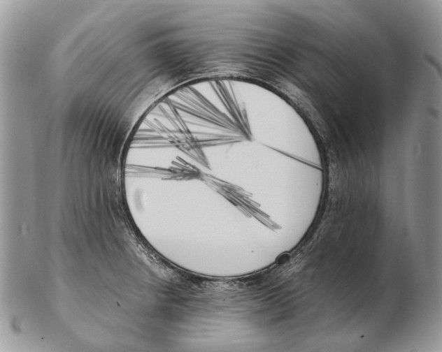 X0000102471234200809051325