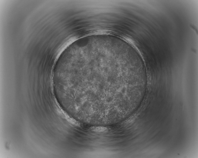 X0000102471235200809051325