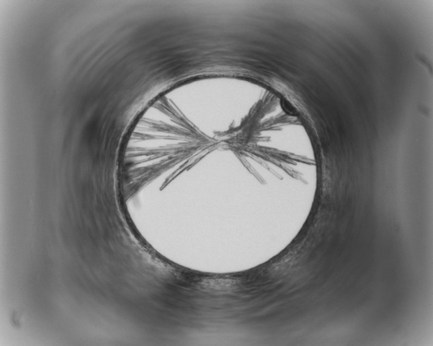 X0000102471237200809051325