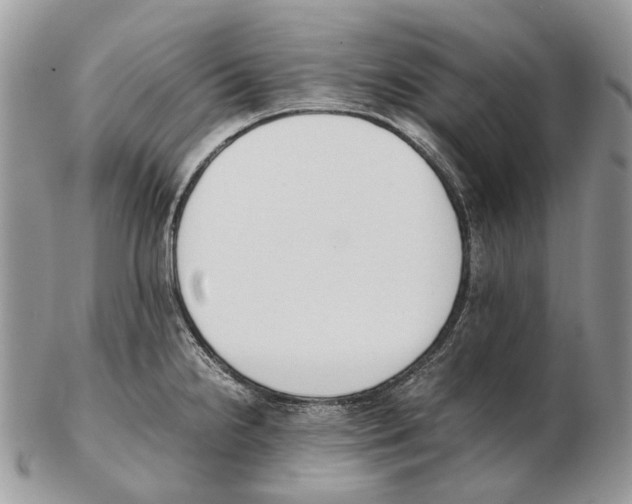 X0000102471238200809051325