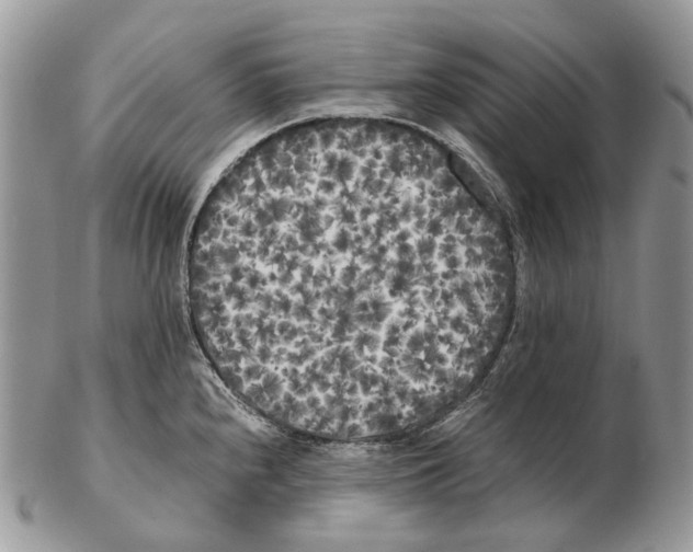 X0000102471240200809051325