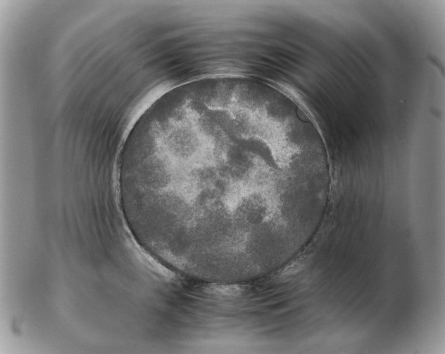 X0000102471243200809051325