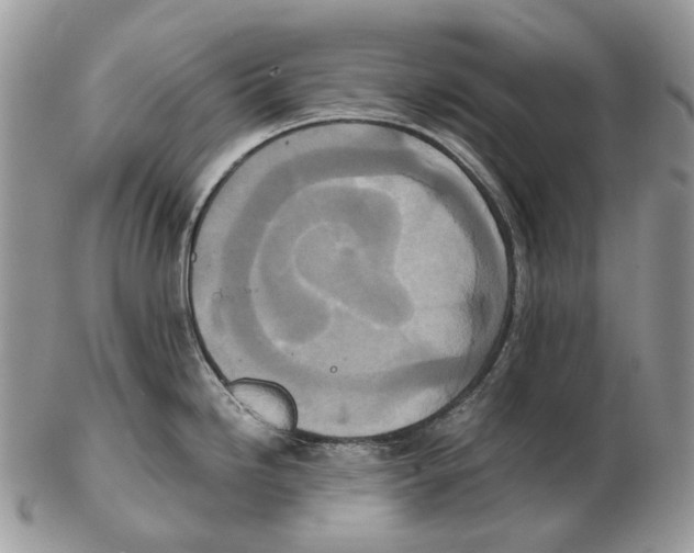 X0000102471246200809051325