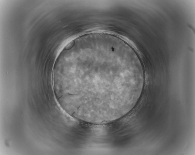 X0000102471247200809051325