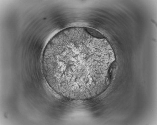 X0000102471248200809051325