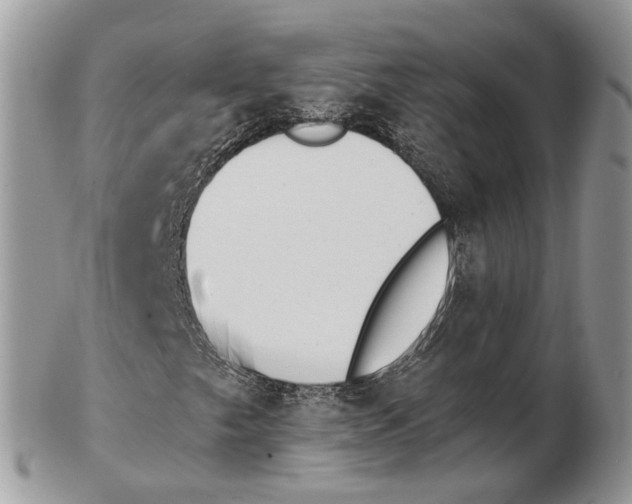 X0000102471249200809051325