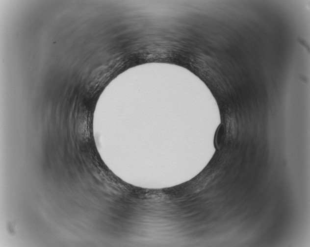 X0000102471250200809051325