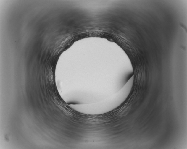 X0000102471252200809051325