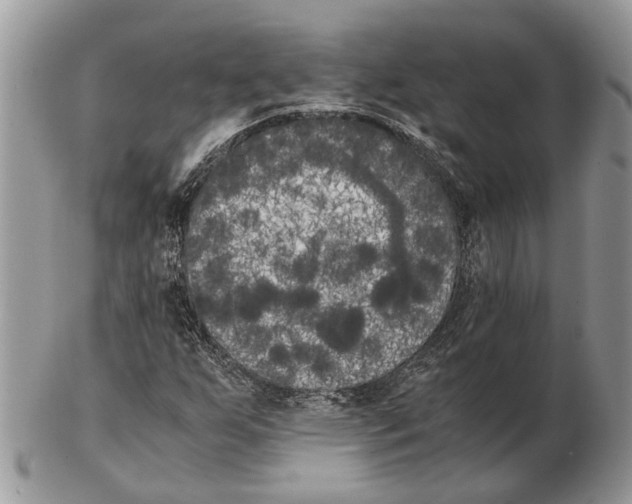 X0000102471255200809051325