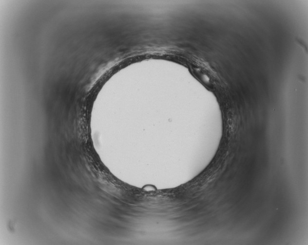 X0000102471256200809051325