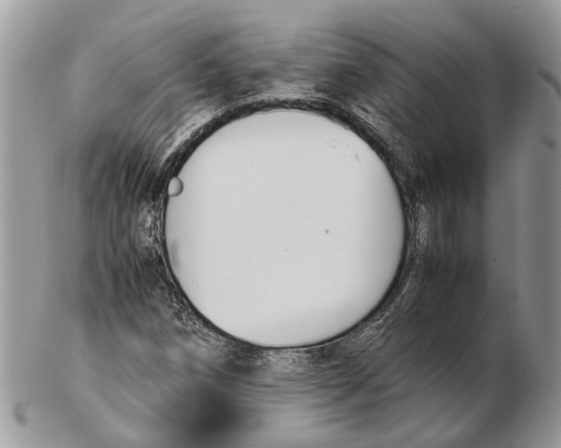 X0000102471258200809051325