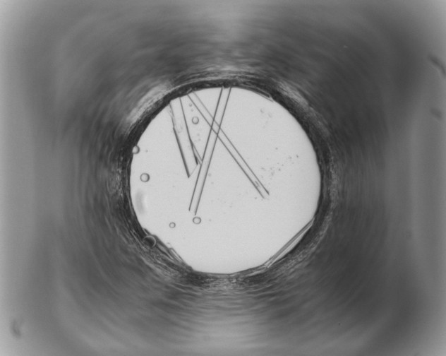 X0000102471259200809051325