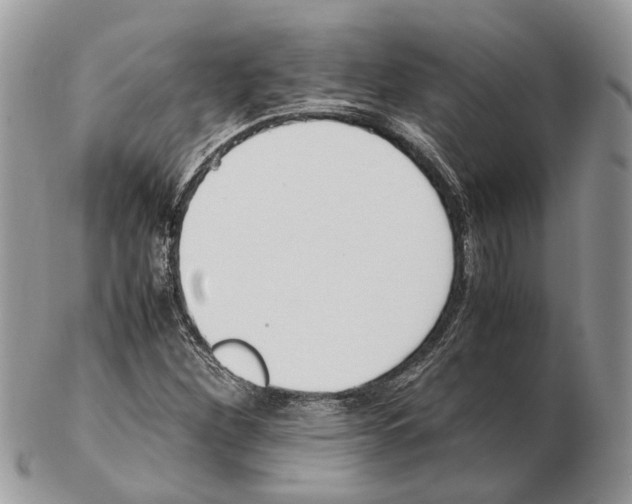X0000102471260200809051325