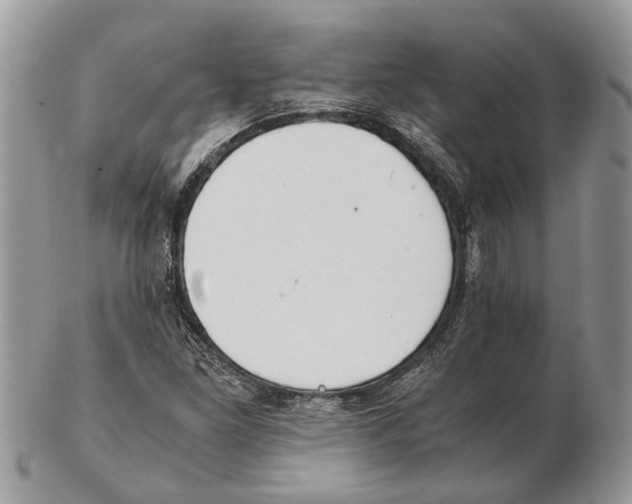 X0000102471261200809051325