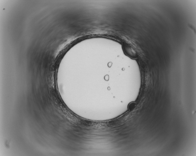 X0000102471262200809051325