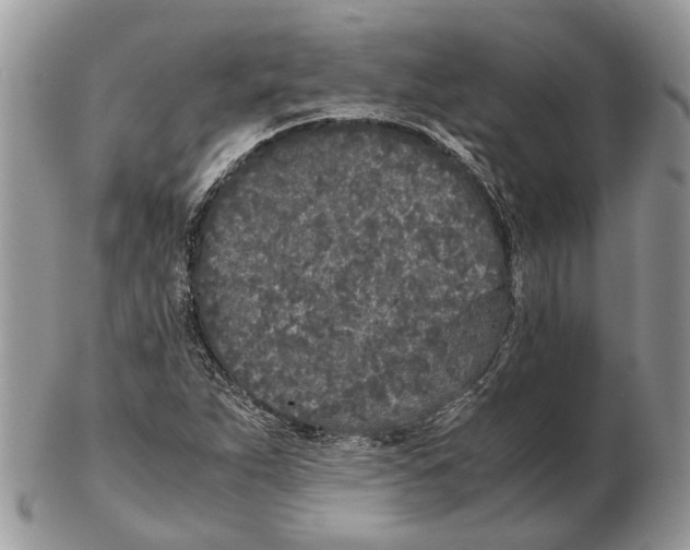X0000102471263200809051325