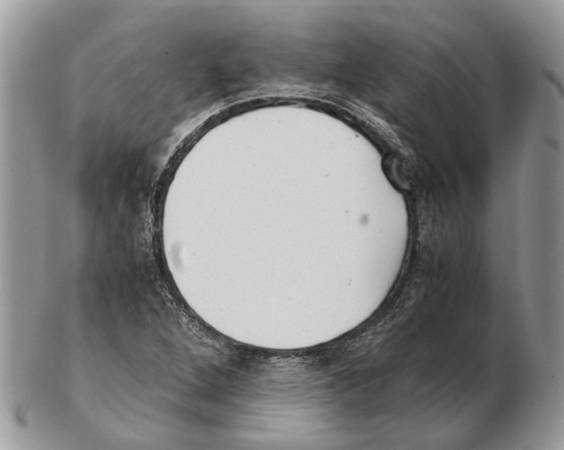 X0000102471264200809051325