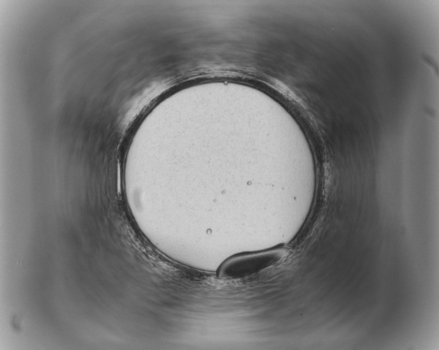 X0000102471269200809051325
