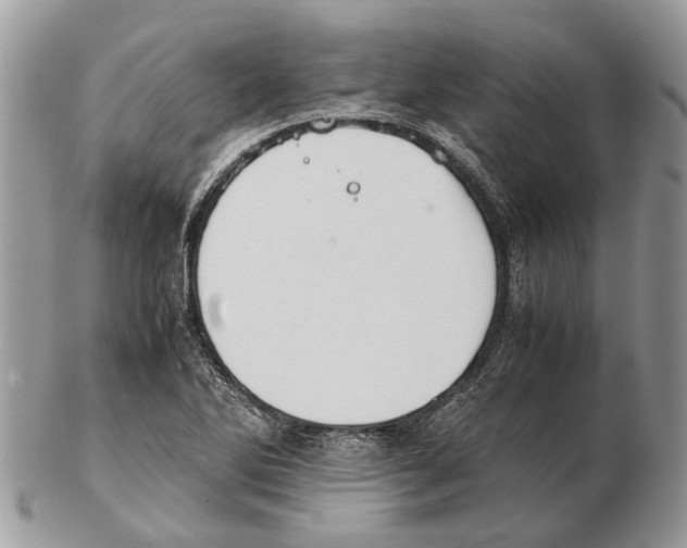 X0000102471270200809051325