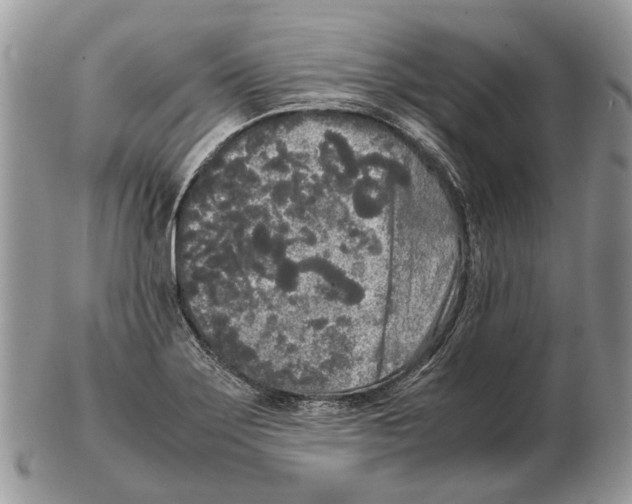X0000102471275200809051324