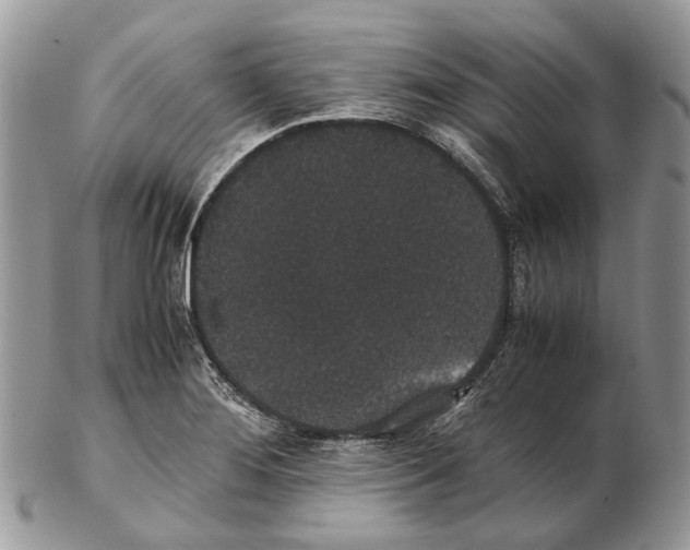 X0000102471276200809051324