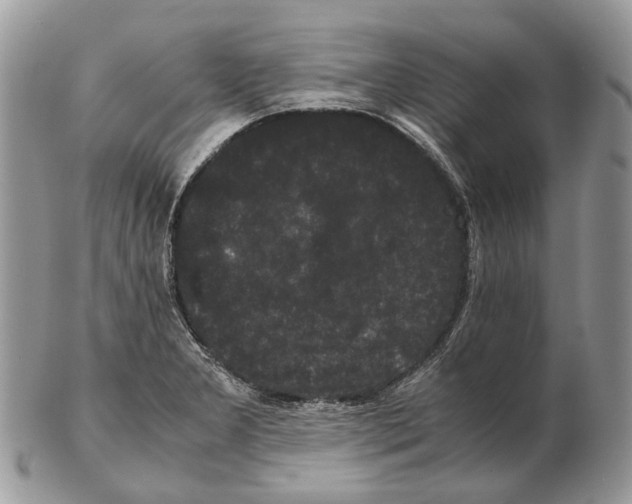 X0000102471277200809051324