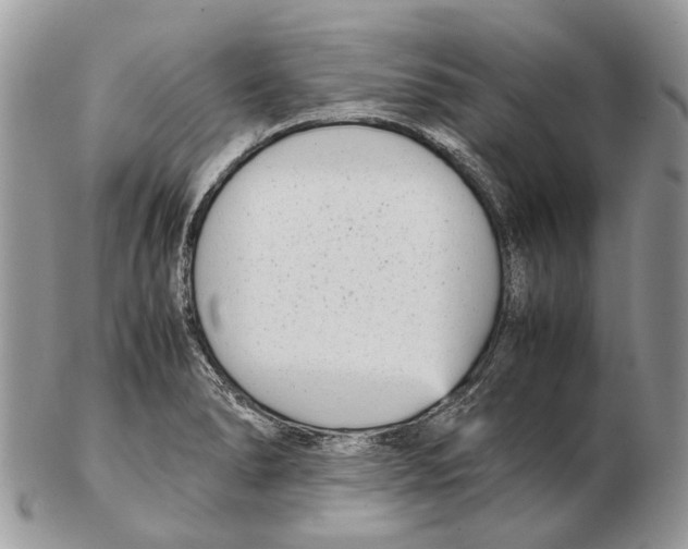 X0000102471278200809051324