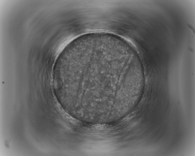 X0000102471279200809051324